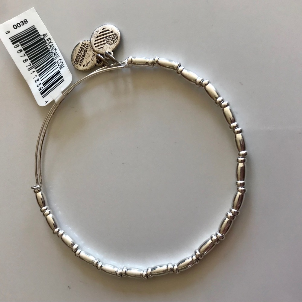 NWT Silver Alex And Ani bracelet